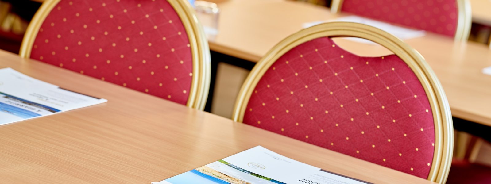 DSC 4720© JPEG STUDIOS WEB 72 DPI DSC_4720© JPEG STUDIOS WEB 72 DPI